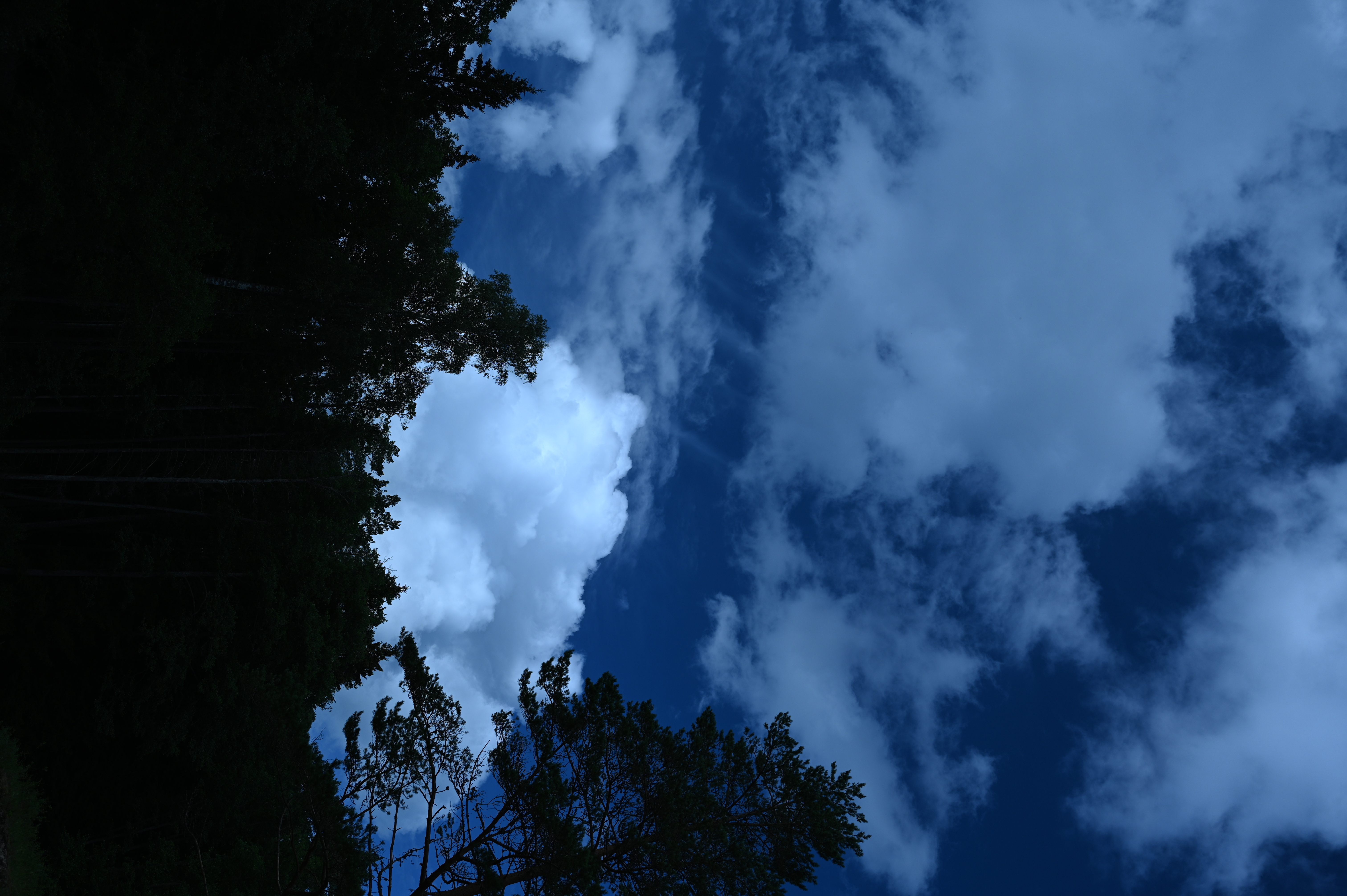 2025/07/09-14 - trip/DSC_0303.JPG